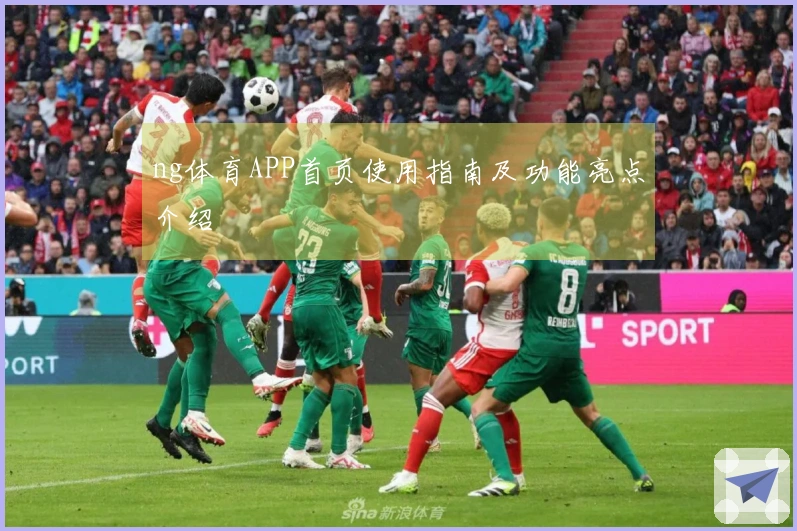 ng体育APP首页使用指南及功能亮点介绍