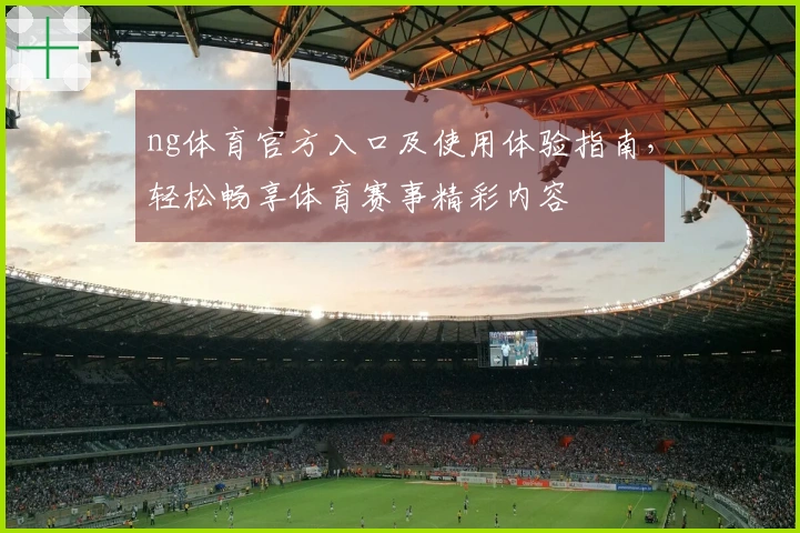 ng体育官方入口及使用体验指南,轻松畅享体育赛事精彩内容