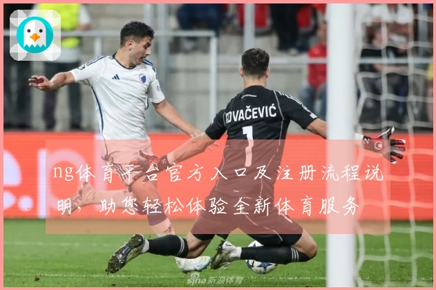 ng体育平台官方入口及注册流程说明，助您轻松体验全新体育服务