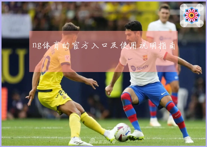 ng体育的官方入口及使用说明指南