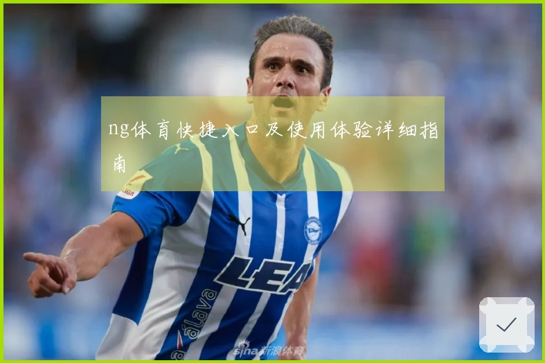 ng体育快捷入口及使用体验详细指南