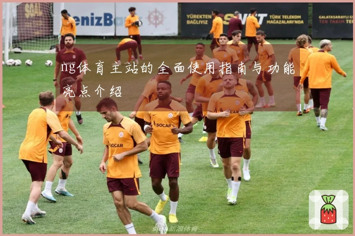 ng体育主站的全面使用指南与功能亮点介绍