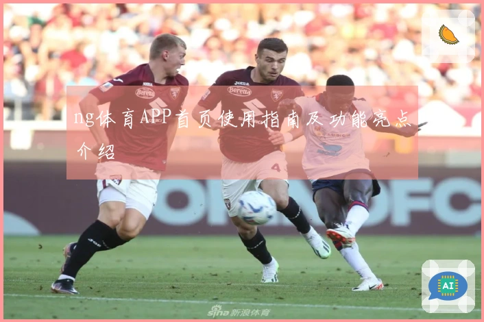 ng体育APP首页使用指南及功能亮点介绍